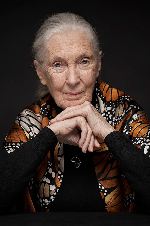 Remembering Jane Goodall: A Legacy Wrapped in Silk - Pineda Covalin US