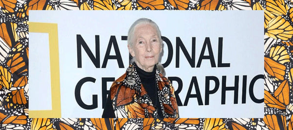 The Butterfly Silk Shawl: A Tribute to Grace, Nature, and Purpose - Pineda Covalin US