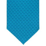 SILK TIE - AGAVE FIELDS - Pineda Covalin US