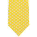SILK TIE - AGAVE FIELDS - Pineda Covalin US
